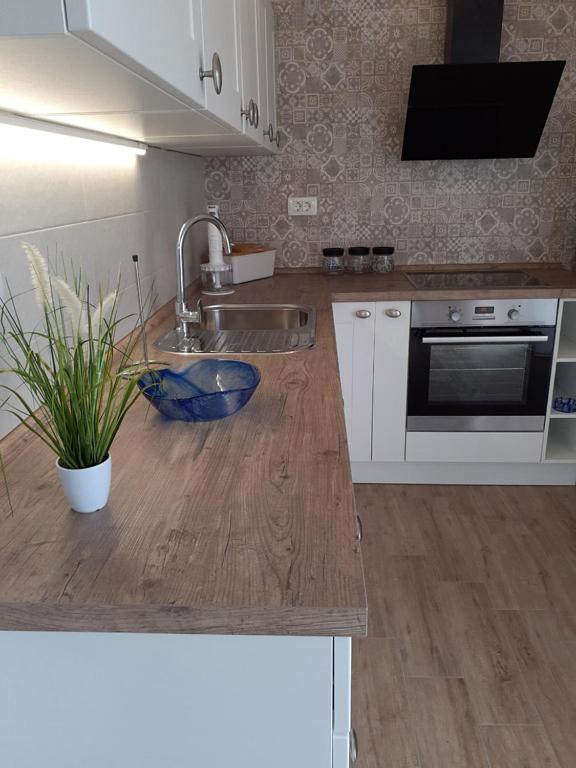 Apartmani Goga 2 Molat Extérieur photo